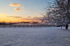 Field-in-Winter